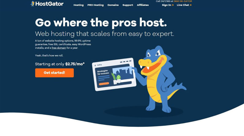 HostGator Web Hosting Review